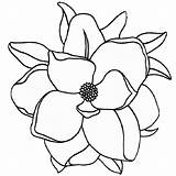 Bestcoloringpagesforkids Magnolias sketch template