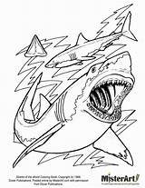 Shark Coloring Jaws Pages Book sketch template