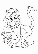 Affe Monkeys Ausmalbilder Colorir Macacos Affen Monyet Ausmalbild Tiere Kidipage Mewarna Kertas Scribblefun Haiwan sketch template