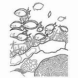 Coloring Pages Coral Bahamas Sea Getdrawings Getcolorings Color sketch template