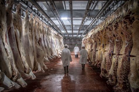slaughterhouse  covid  workers  romania   german meat industry ostblog