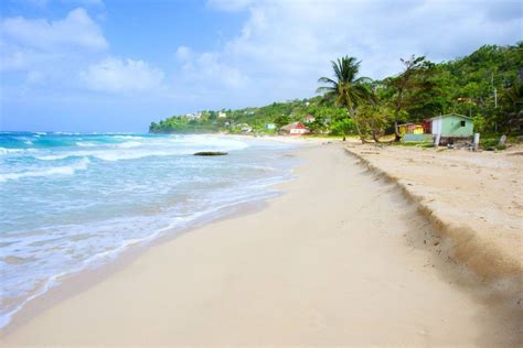 Long Bay Beach Jamaica Attractions Review 10best