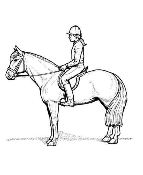 animal coloring pages horse  rider horse rider animal coloring