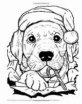 Christmas Coloring Puppies Dog Holiday Cute Book Sheets Pages Colouring Adult Kittens Choose Board sketch template