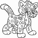 Jaguar Coloring Pages Baby Color Head Getcolorings Amazing Template sketch template