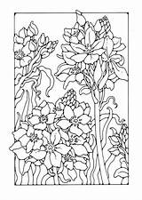 Coloring Lily Pages Edupics Printable Flower Adult Choose Board Da Salvo Large sketch template