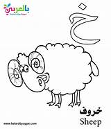 Arabic Coloring Alphabet Pages Letter Worksheets Printable Kindergarten sketch template