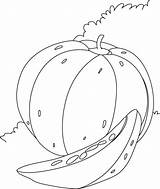 Pumpkin Coloring Large Pages sketch template