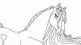 Stallion Cimarron Coloring Rover sketch template