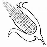 Corn Coloring Kids Ear Pages Fun Real Cute sketch template