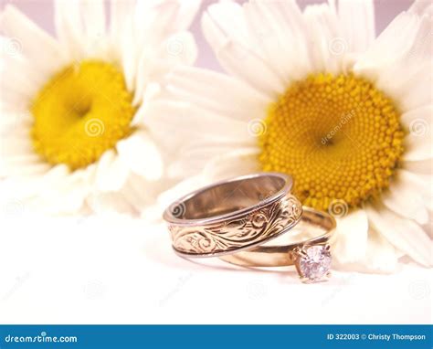 daisy love stock image image  pair marriage isolated