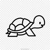 Tartaruga Kura Mewarnai Tortue Tortoise Pngegg Hitam Kartun Hare Pinky Ilmu Pengetahuan Similars Kisspng Fulloption Nook sketch template