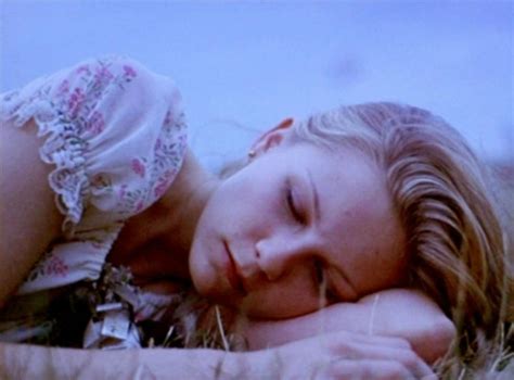 movies you might have missed sofia coppola s the virgin suicides the