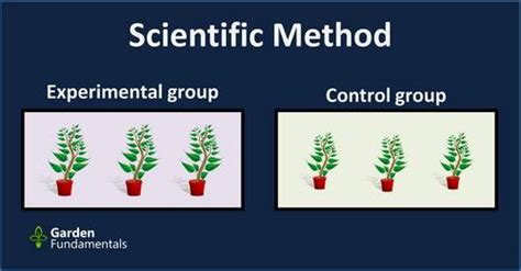 scientific method   controls   important