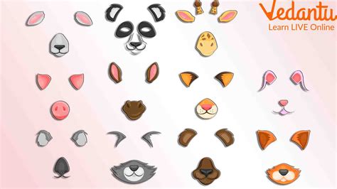 ears  animals   shapes