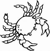 Coloring Pages Crab Realistic Sea Animals Clipart Animal Octopus Ocean Blue Plants Cancer Symbol Printable Clipartbest Zodiac Color Kids Choose sketch template