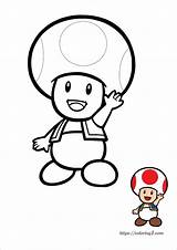 Toad Mario Coloring1 sketch template