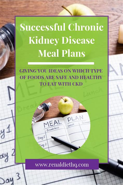 successful chronic kidney disease meal plans chronic