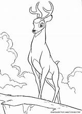 Bambi Cartoons Deer Coloring Pages sketch template