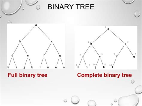 data structure trees