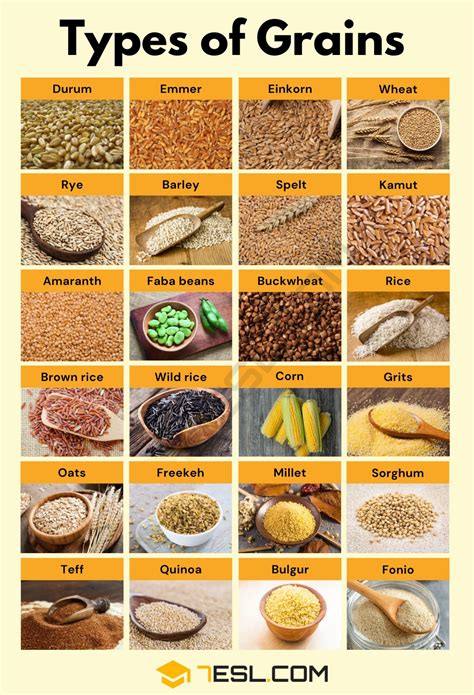common types  grains  english    esl