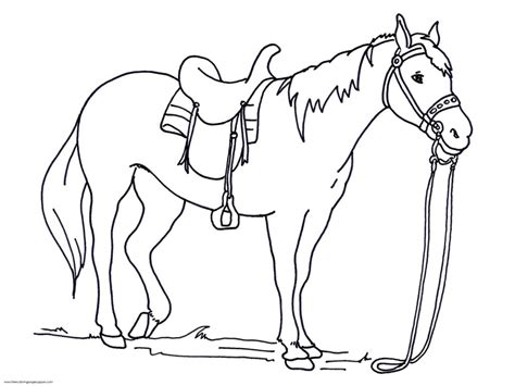 coloring pages  printable horse head coloring pages designs canvas