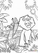 Madagascar Vitaly sketch template