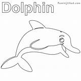 Coloring Dolphin Pages Kids Printable Getdrawings Getcolorings sketch template