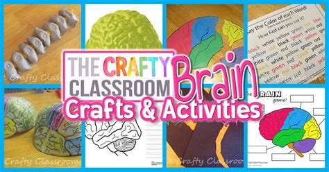 Human Brain Craft And Activities