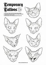 Sphynx Sphinx Temporary Traditional Reference sketch template
