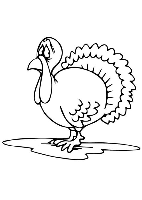 coloring page coloring pages baby coloring pages turkey coloring pages