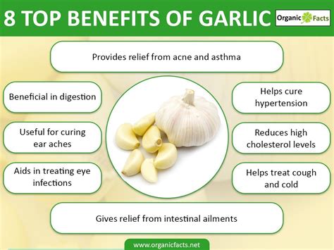 Benefits Of Eating Garlic — Steemkr