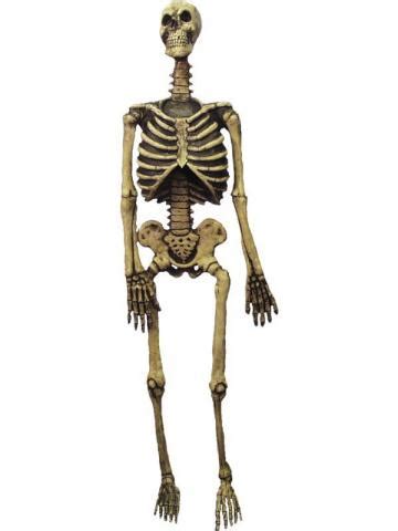 life size skeleton halloween decoration