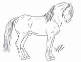 Andalusian Lineart Deviantart sketch template