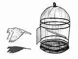 Cage Bird Escaping Coloring Pages Color Getcolorings Tocolor Choose Board sketch template