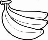 Banana Clipart Bananas Clip Printable Coloring Transparent Para Library Escolha Pasta Frutas Colorir Gif sketch template