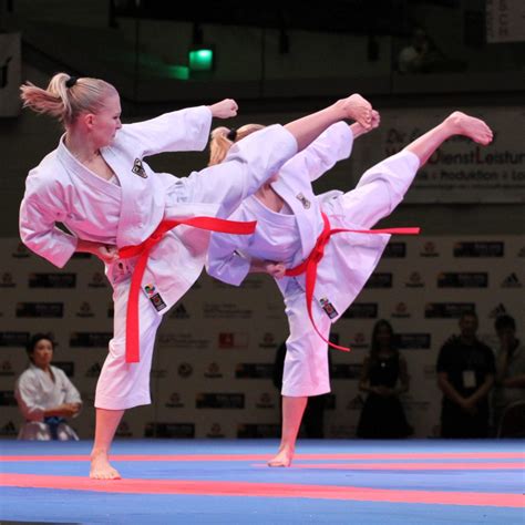 martial arts   combat sports   defense sasi