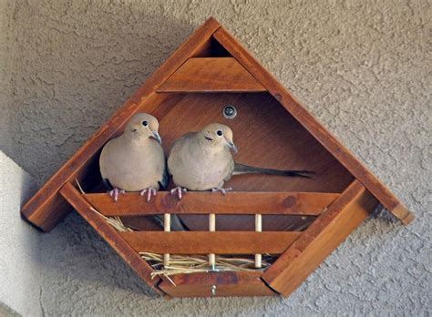 home lovey dovey birdhouses