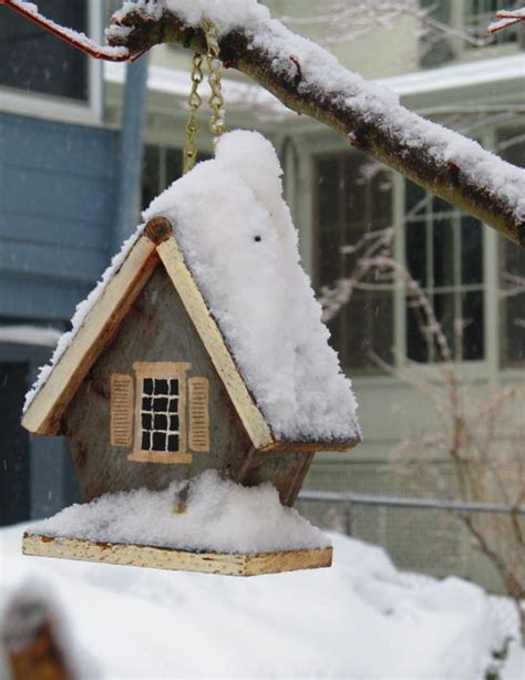images   snowy birds birdhouses  pinterest bird feeders robins   birds
