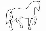 Horse Outline Drawing Clipart Simple Clip sketch template