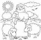 Coloring Shepherd Pages Jesus Good Parable Sheep Bible Oveja La Lost Para Colorear Perdida School Crafts Sunday Am Preschool Gate sketch template