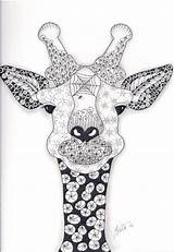 Giraffe Zoo Animals Coloring Ginger Zentangle Zentangled sketch template