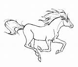 Cheval Chevaux Galop Coloriages Poneys Colorier Beau Dressage Benjaminpech sketch template