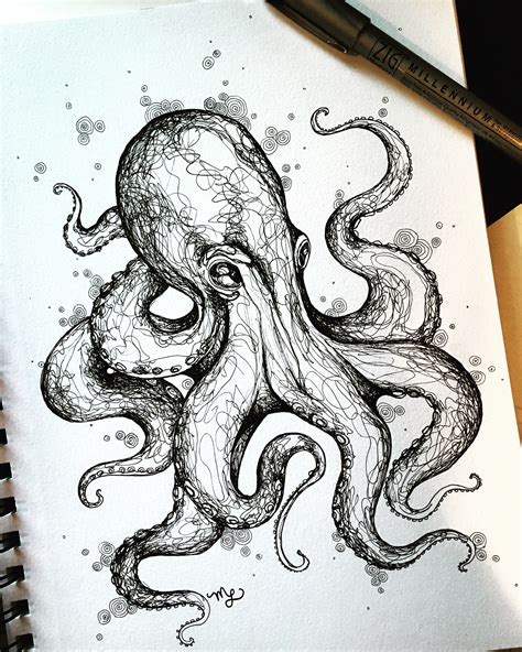 octopus sketch  behance
