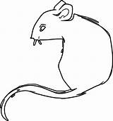 Coloring Mouse Jpeg Wecoloringpage sketch template