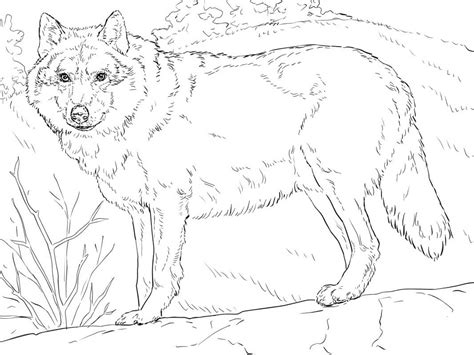 red wolf coloring play  coloring game