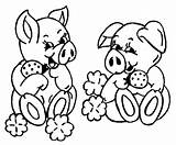Porco Pigs Cochon Coloriages sketch template