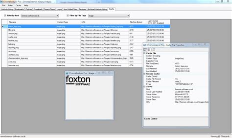 chromeanalysis tool  analysing google chrome web browser pentest tools