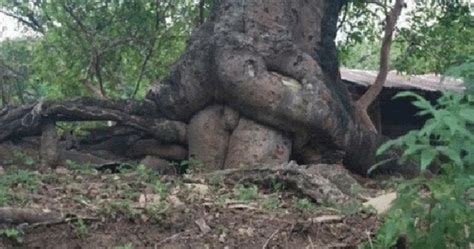 39 Weird Sexy Photos That Will Leave You Extremely Confused
