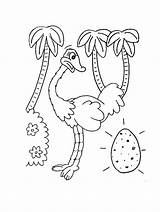 Ostrich Coloring Pages Printable Kids Animal Egg Preschool Ostriches sketch template